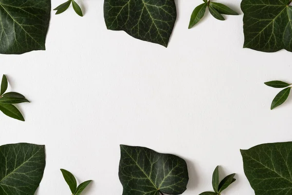 Creative Layout Made Green Leaves Bright Background Minimal Nature Love — Stock Photo, Image