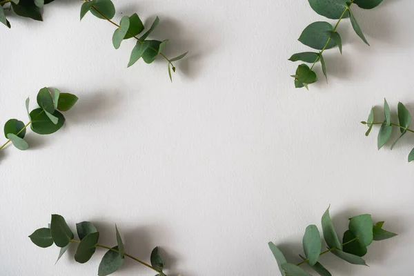 Mise Page Créative Faite Avec Des Feuilles Vertes Sur Fond — Photo