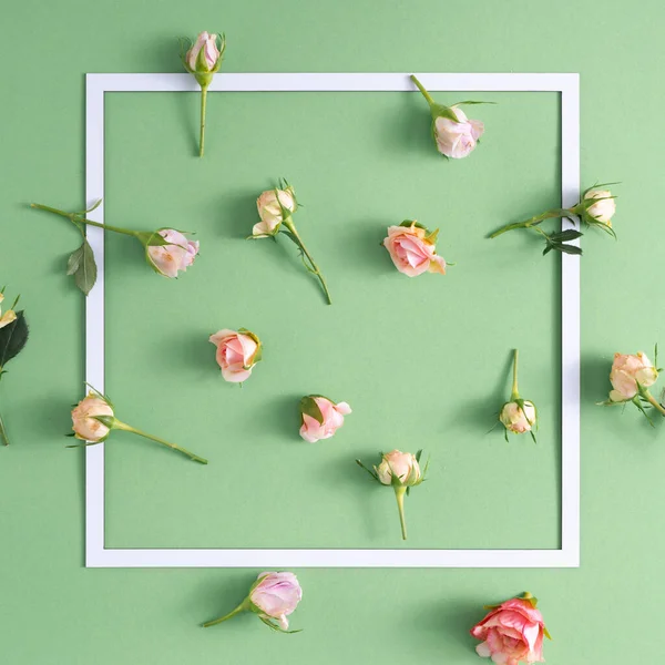 Kreativa Arrangemang Med Rosa Rosor Mot Pastellgrön Bakgrund Med Papperskort — Stockfoto