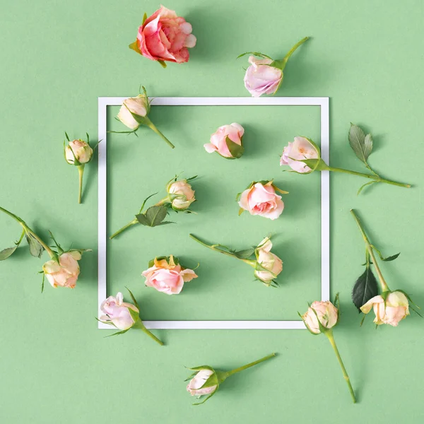 用粉红玫瑰和纸相框的淡绿色背景进行创造性的排列 最小春花概念 — 图库照片