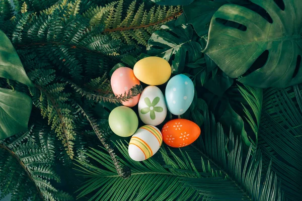 Fondo Creativo Naturaleza Pascua Hojas Verdes Palma Tropical Con Huevos — Foto de Stock