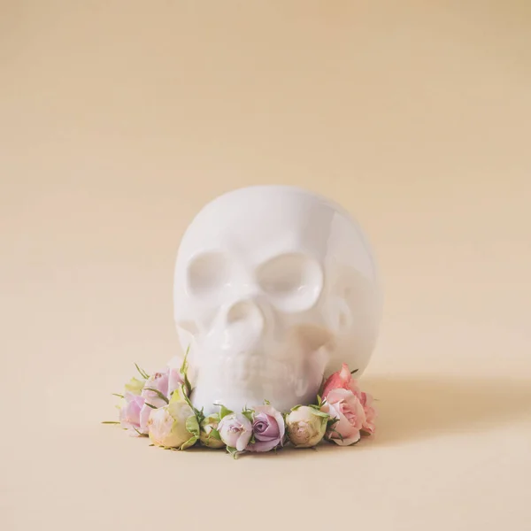 Crânio Branco Com Flores Primavera Rosa Roxo Conceito Amor Mínimo — Fotografia de Stock