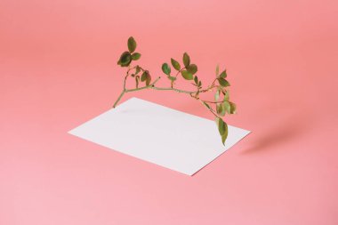 Gül dalı ve parlak pastel, pembe, güneşli arka planda kağıt notla yapılmış modaya uygun yaz düzeni. Asgari yaz çiçeği veya yaratıcı kopya alanı olan doğa konsepti.