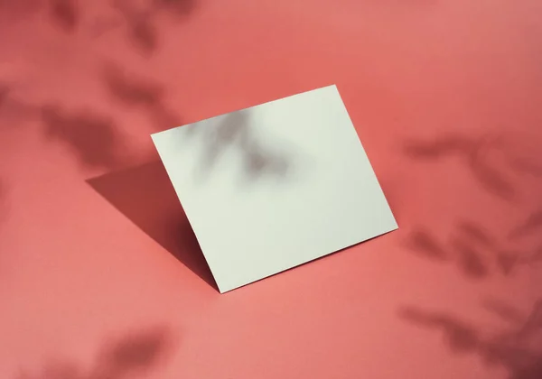 明るいパステルピンクのサンライトの背景に紙のカードノートで作られたトレンディな夏のレイアウト 創造的なコピースペースと最小限の夏の影の概念 — ストック写真