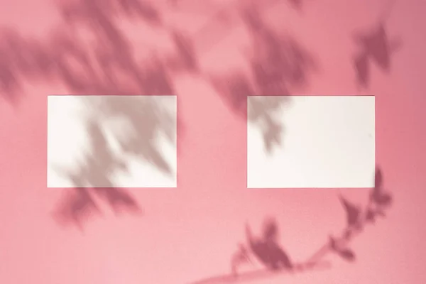 明るいパステルピンクのサンライトの背景に紙のカードノートで作られたトレンディな夏のレイアウト 創造的なコピースペースと最小限の夏の影の概念 — ストック写真