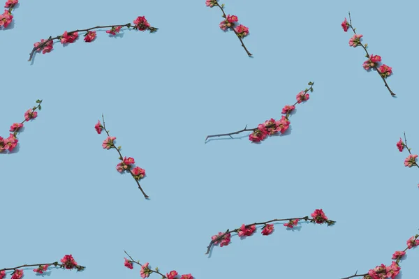 Blumengesteck Mit Rosa Blütenzweigen Vor Pastellblauem Hintergrund Frühlingskonzept — Stockfoto