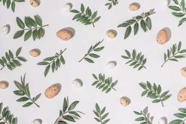 Yaratıcı düz kompozisyon, paskalya yumurtaları ve doğal dallarla. Doğal güneş ışığı ve keskin gölgeler. Gerçekçi estetik görünüş modeli. Çağdaş biçim.