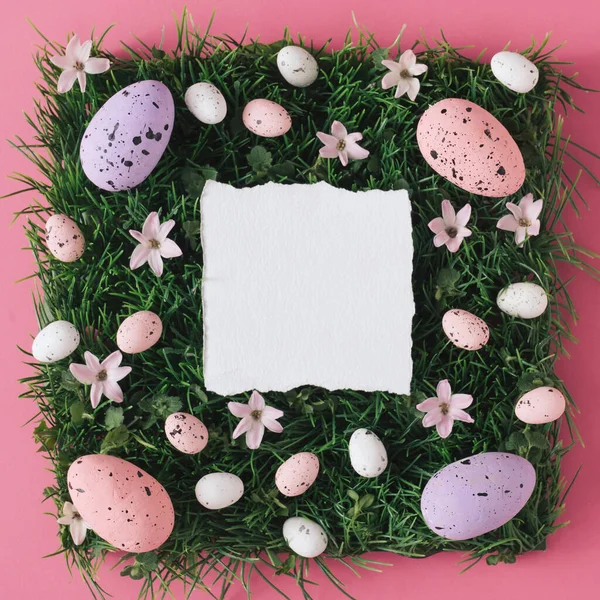 Creative Flat Lay Composition Easter Eggs Natural Grass Flowers Pastel — Stock Photo, Image