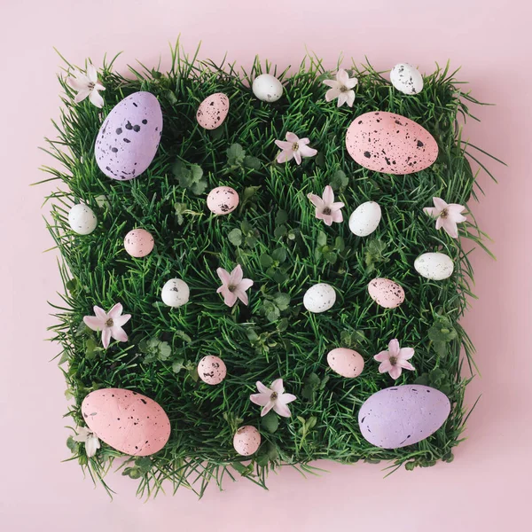 Creative Flat Lay Composition Easter Eggs Natural Grass Flowers Pastel — Stock Photo, Image