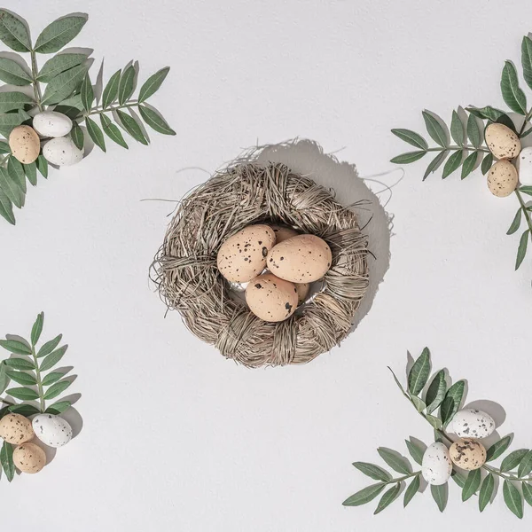 Creative Flat Lay Composition Easter Eggs Natural Branches Natural Sun — Stock Photo, Image