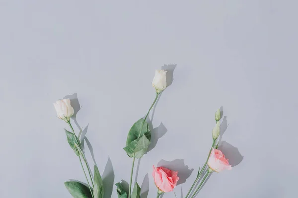 Kreatywna Płaska Kompozycja Wiosennymi Kwiatami Szarym Tłem Naturalne Światło Słoneczne — Zdjęcie stockowe
