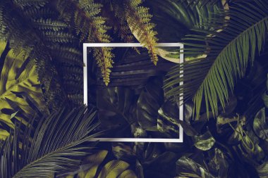 Koyu arkaplanda yeşil tropikal yapraklar olan bir pankart. Kozmetik, spa, parfüm, güzellik salonu, seyahat acentesi, çiçekçi dükkanı için egzotik botanik tasarımı. Düğün davetiyesi kadar iyi..