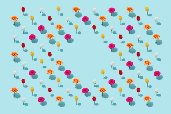 Creatieve Lay Out Gemaakt Van Lentebloemen Met Kopieerruimte Natuur Achtergrond — Stockfoto