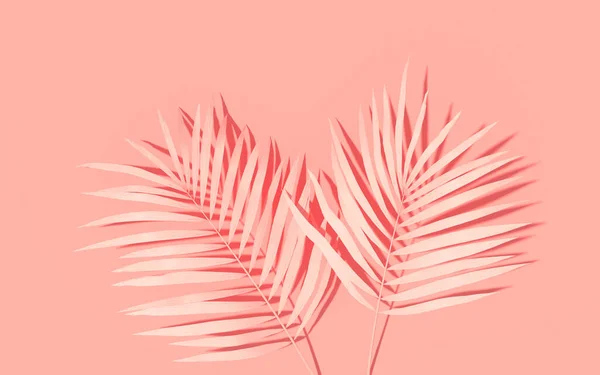背景を持つエキゾチックな植物 熱帯雨林のモックアップ 絵付けされたヤシの葉の背景 ピンクのミニマルなコンセプトアート 3Dレンダリング — ストック写真