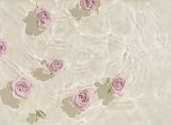 夏天的场景 玫瑰在水里绽放 阳光和阴影最低性质背景 — 图库照片