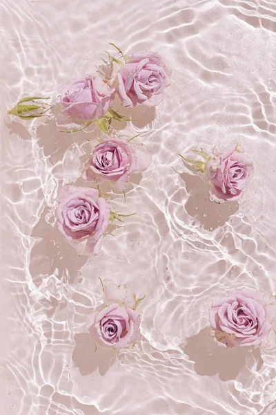 Escena Verano Con Rosas Rosadas Agua Sol Sombras Fondo Naturaleza — Foto de Stock