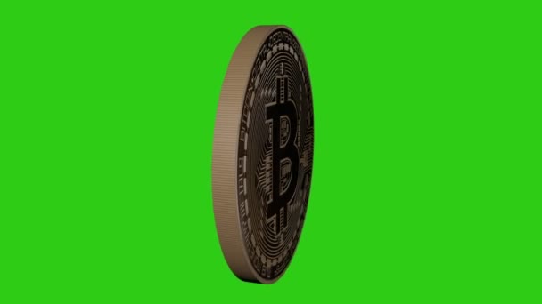 Giratorio realista Bitcoin - Pantalla verde - Bucle - 4K — Vídeo de stock