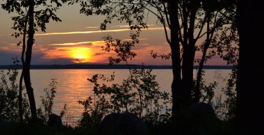 Akşam günbatımı ağaçlar arka plan silüeti üzerinde.