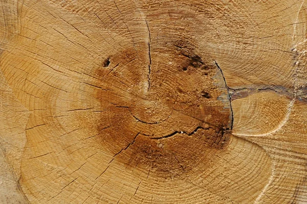 Il legno nel taglio . — Foto Stock