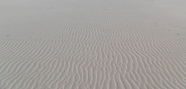 砂の背景の質感. — ストック写真