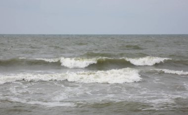 soğuk Baltık Denizi.