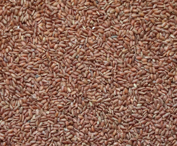 Red Wild Unpolished Rice Texture Scattered Seeds — Stock Photo, Image