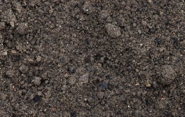 Bahçedeki toprağın arka planı.