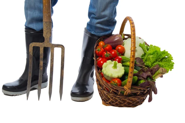 Laarzen staan met vork naast een mandje met groenten — Stockfoto