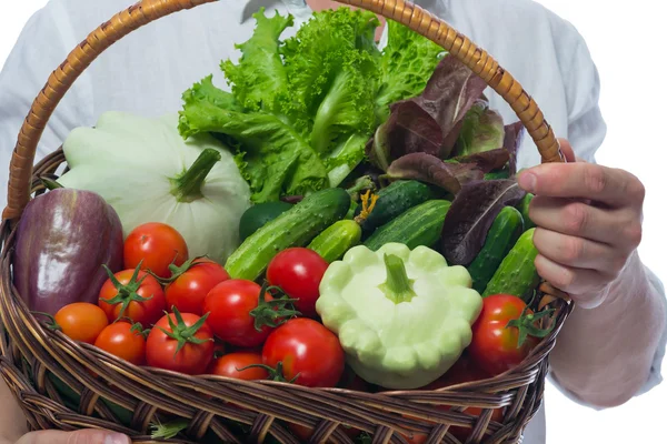 Hands holding basket of fresh vegetables — Stock Photo, Image