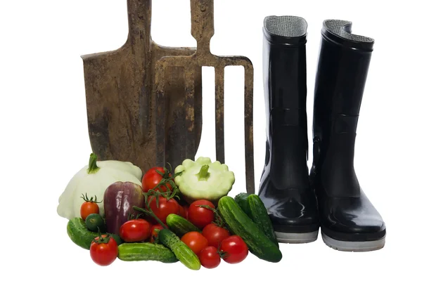 Shovel with a pitchfork stands next to a basket of vegetables — Stock Photo, Image