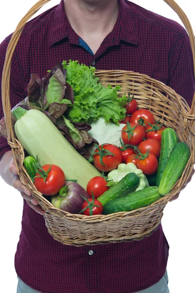 Beau panier de légumes dans les mains de l'agriculteur — Photo