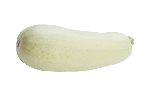 Longue courgette sur fond blanc — Photo