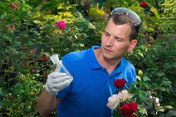 Gardener looking at flask with fertilizer on the roses background — Stock Photo, Image