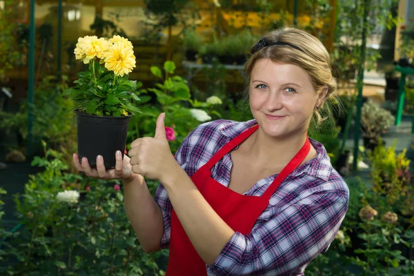 Woman in a garden holding a beautiful yellow flower — Stock Photo, Image