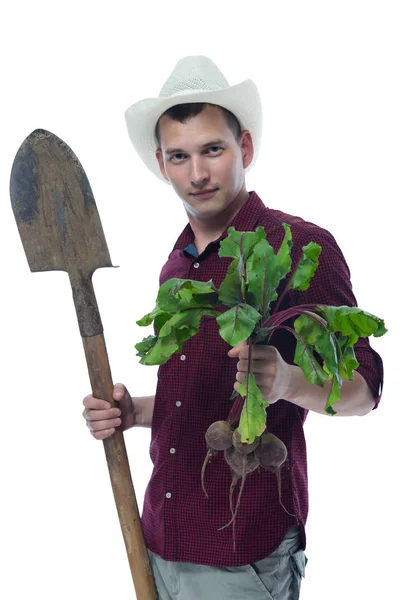 Agricultor que posee una cosecha de remolacha — Foto de Stock