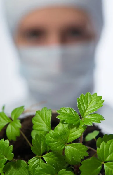 Vetenskapsman kvinna att undersökningar på unga skott — Stockfoto