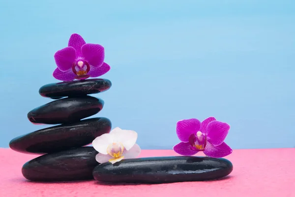 Varias orquídeas sobre piedras negras como fondo para una inscripción — Foto de Stock