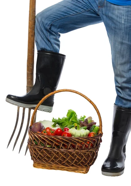 Cesta com legumes aos pés de um agricultor isolado — Fotografia de Stock