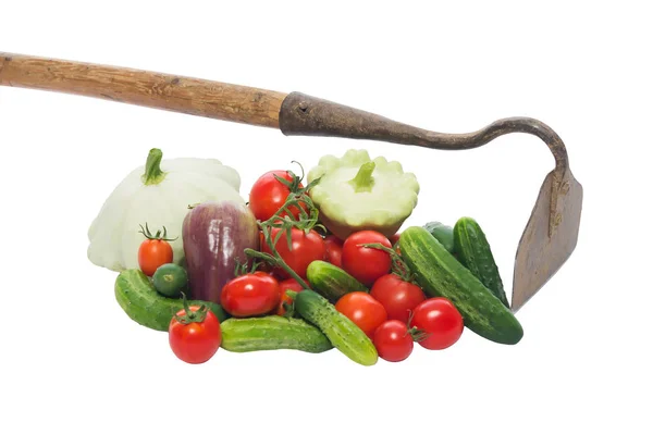 Tomatoes cucumber with vegetables on white, insulation — Stock Photo, Image