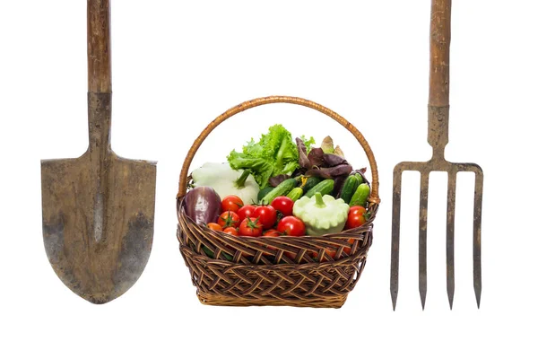 Basket of vegetables next to a pitchfork and shovel isolated — Stock Photo, Image