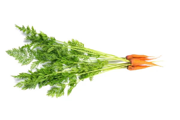 Karotten auf weißem Hintergrund mit grünen Spitzen — Stockfoto