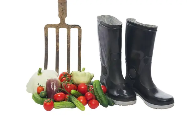 Fresh vegetables near the pitchfork and boots, insulation — Stock Photo, Image