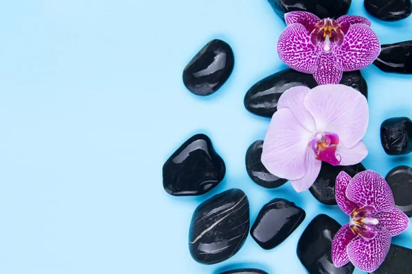Conjunto de piedras negras sobre fondo azul con orquídeas rosadas — Foto de Stock