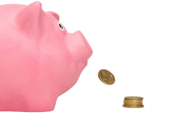 Pink Piggy Bank comer moedas em um fundo branco — Fotografia de Stock