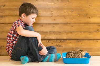 Çocuk yavru kedi tuvalete accustoms ve gözlemler