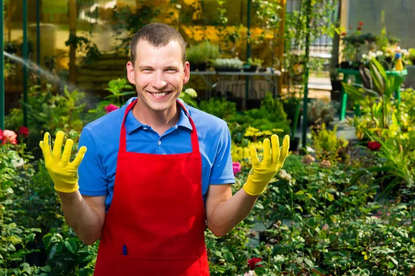 Man working with plants in a greenhouse and smiling — Stock Photo, Image