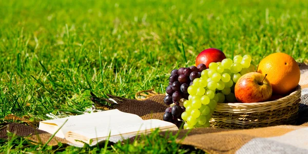 Uma cesta de frutas e um livro em um gramado verde para relaxar — Fotografia de Stock