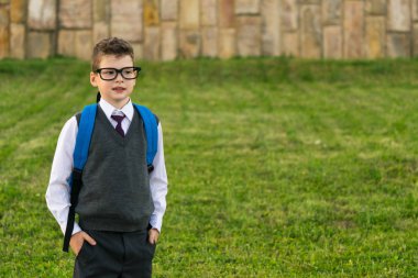 Yeşil çim zemin üzerine kitaplar için bir sırt çantası ile Tekdüzen okulda öğrenci