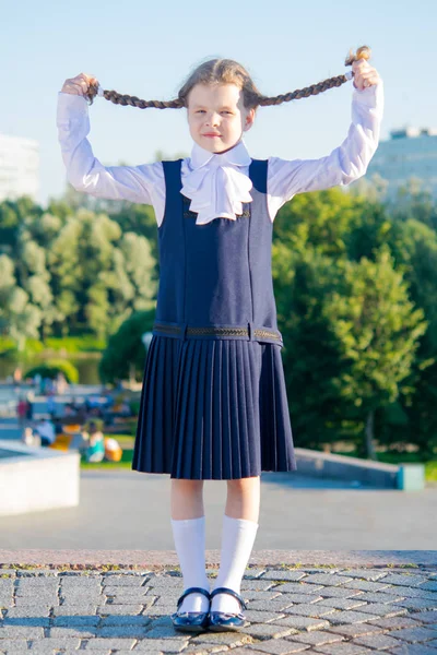 Little girl schoolgirl, took up pigtails with her hands — Stock Photo, Image