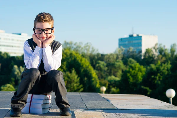 O menino de óculos, o estudante senta-se em livros, sobre a natureza no parque — Fotografia de Stock